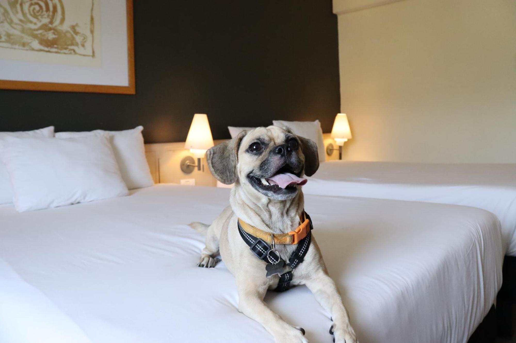 Novotel Monterrey Valle