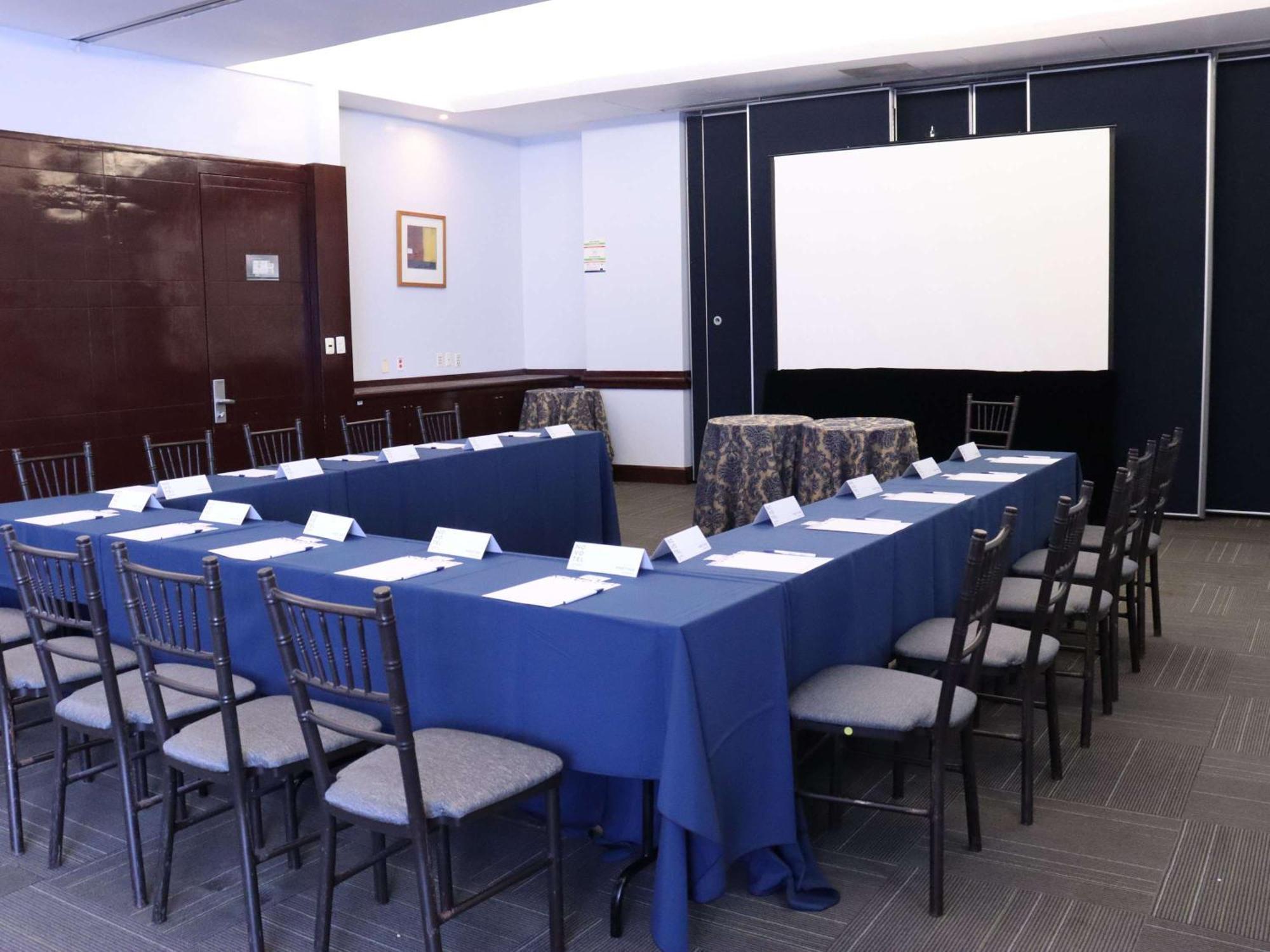 Novotel Monterrey Valle San Pedro Garza García